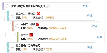 北京国电信息咨询服务有限责任公司 电力行业信息咨询的领先者