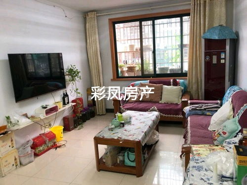 绍兴柯桥彩彩信息咨询服务部 专业信息咨询服务的桥梁