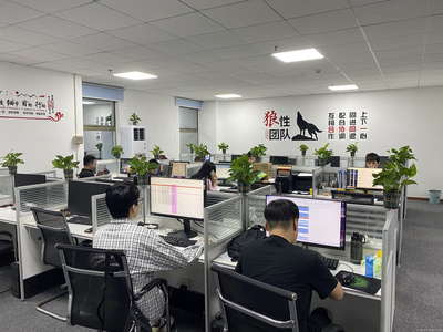 广州星照信息咨询 专业信息咨询服务，赋能企业决策