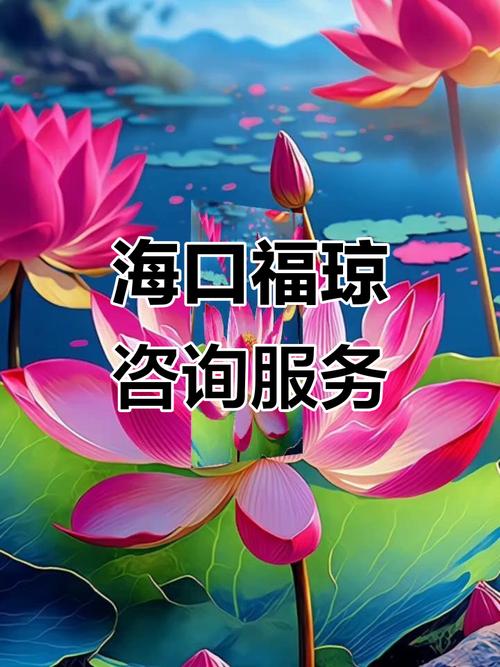 探索专业之道，海口龙华区福琼信息咨询工作室助您前行