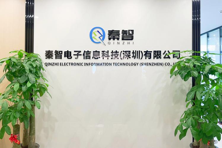 秦智电子信息科技 擘画数智咨询新蓝图